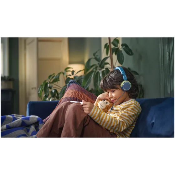 Philips TAK2000CT Groen