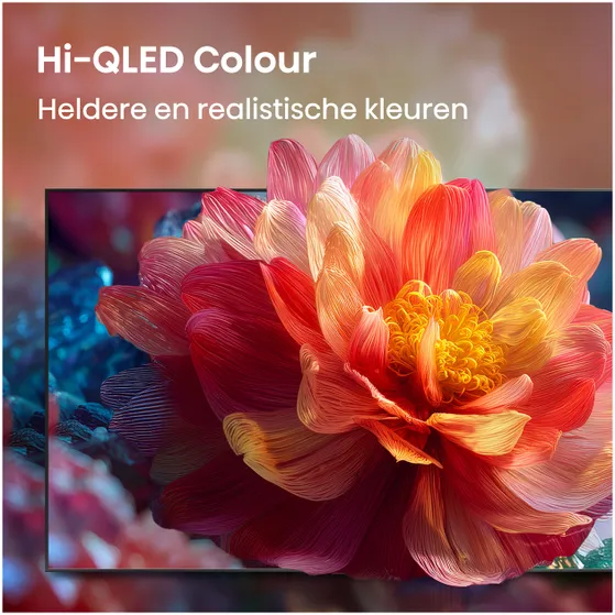 Hisense QLED 40A59S (2026)