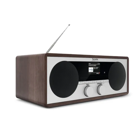 TechniSat Digitradio 451 CD IR Hout