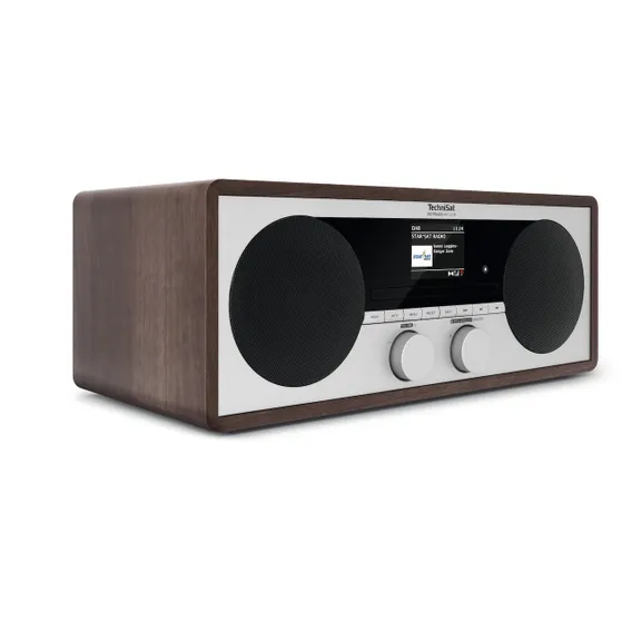 TechniSat Digitradio 451 CD IR Hout