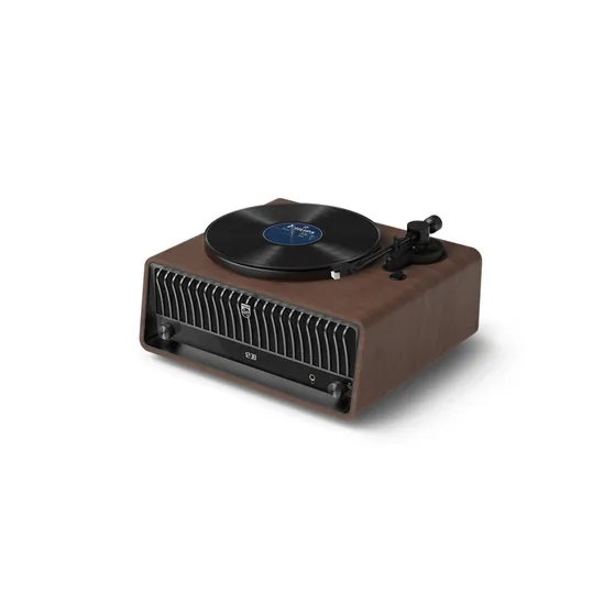 Philips The Tina - TAV9000D/10 Bruin