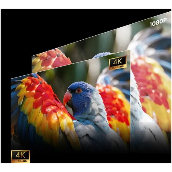 Hisense C3