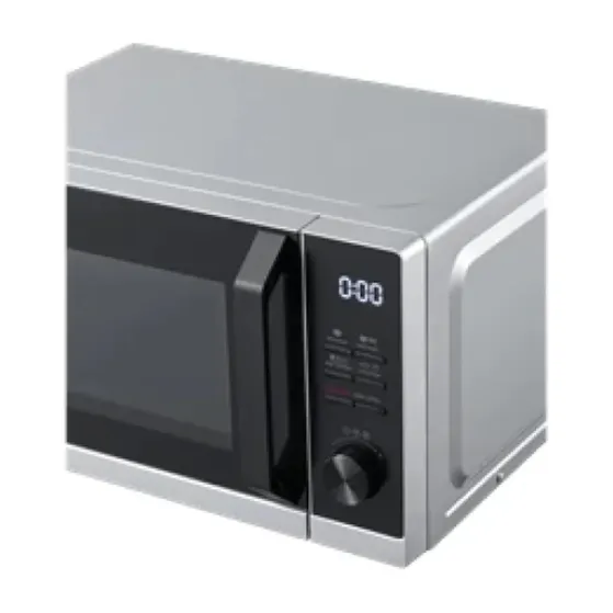 Sharp RCG251TS