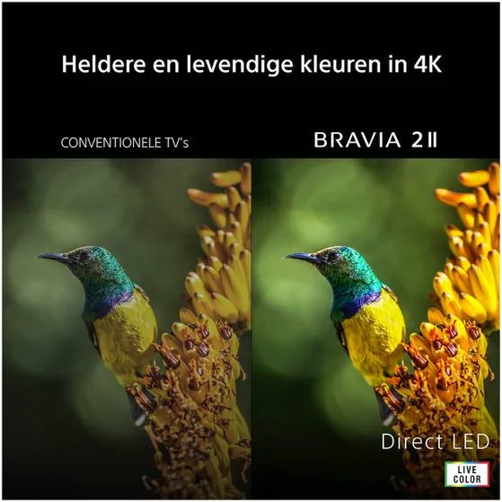 Sony K-55S25M2PB (2026) BRAVIA 2 II