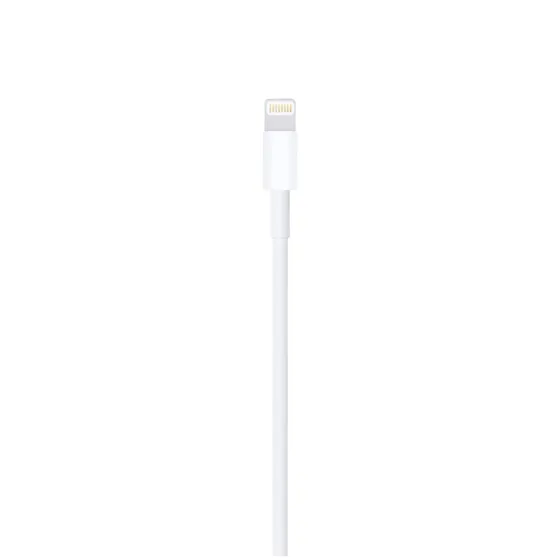 Apple Lightning to USB Cable (1m)