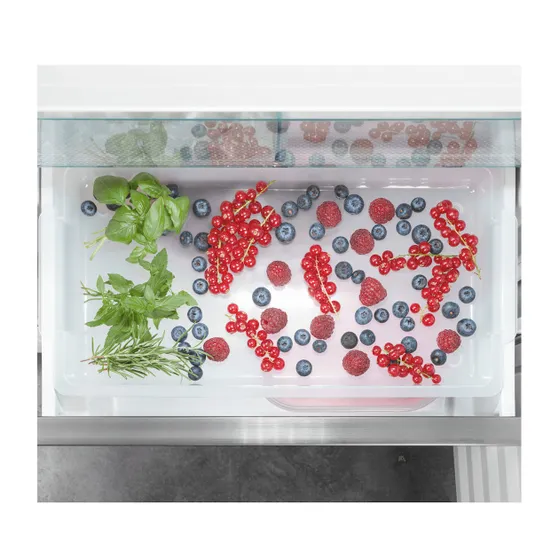 Liebherr ICBNbsci 5173 Peak