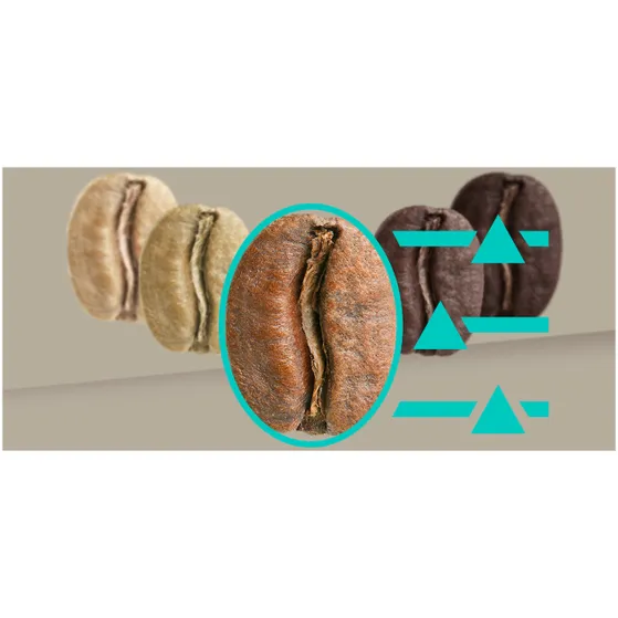 Siemens TQ905RZ3 Rvs