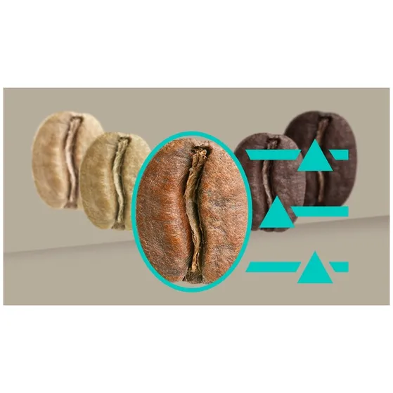 Siemens TQ905RZ3 Rvs