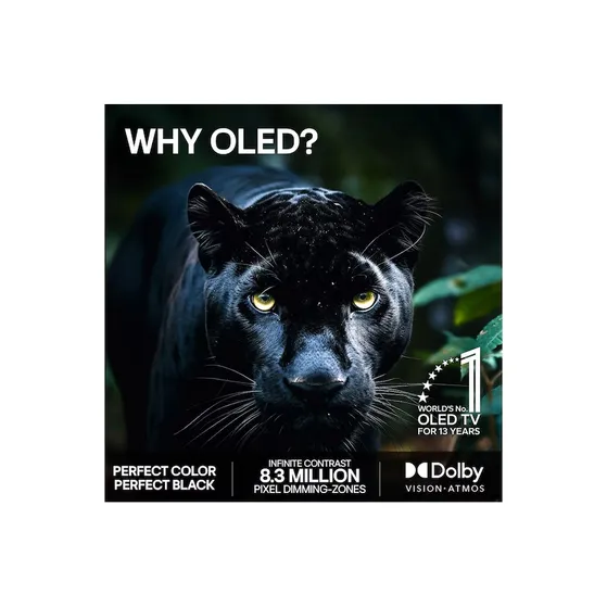 LG OLED 4K 48B6E (2026)