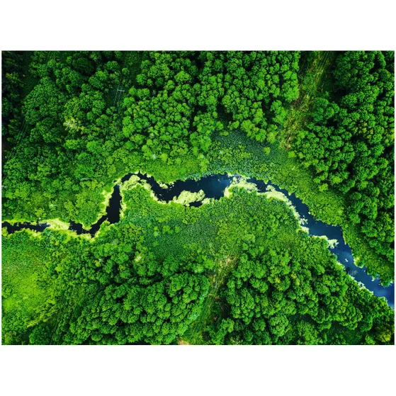 Miele UltraDark 1,5 liter