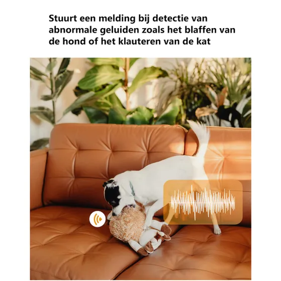 Imou Ranger Dual 10MP