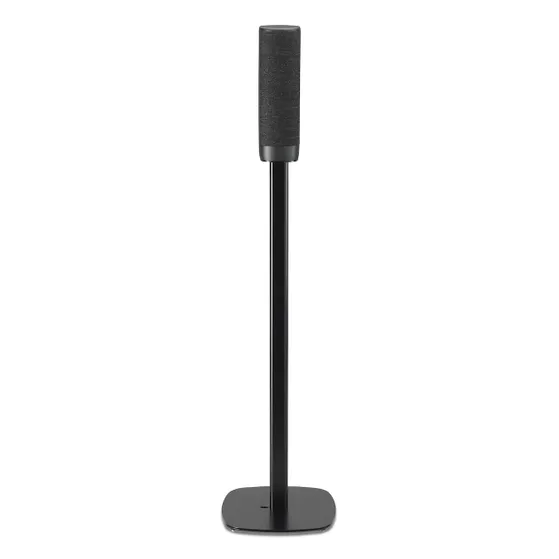 SoundXtra SDXHKCSR2021 HK CITATION SURROUND STANDAARD - PAAR Zwart