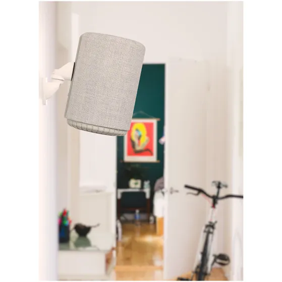 Audio Pro G10 Smart Assistant Multiroom Grijs