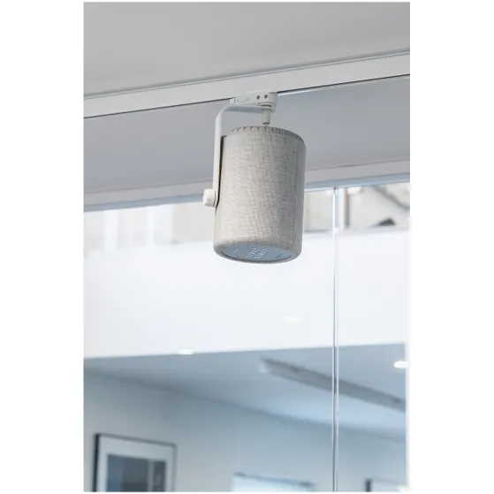 Audio Pro G10 Smart Assistant Multiroom Grijs