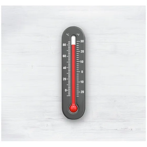 Bosch TWK2M163 Zwart