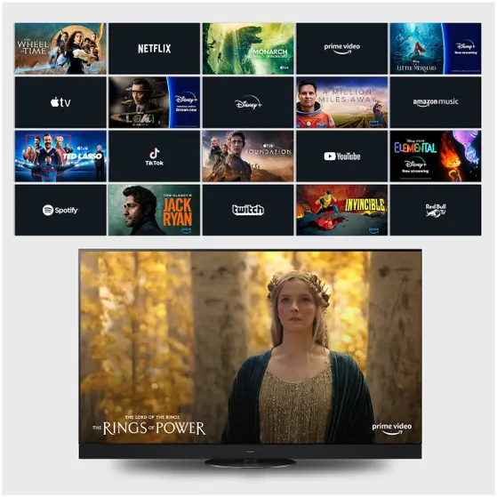 Panasonic TV-65W85BEZC