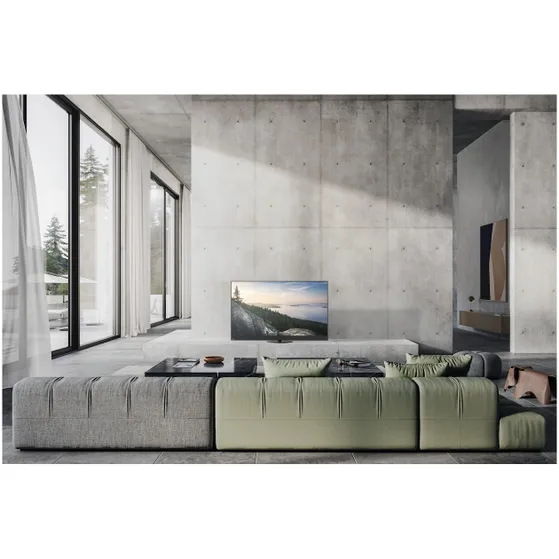 Panasonic TV-65Z90BE6A