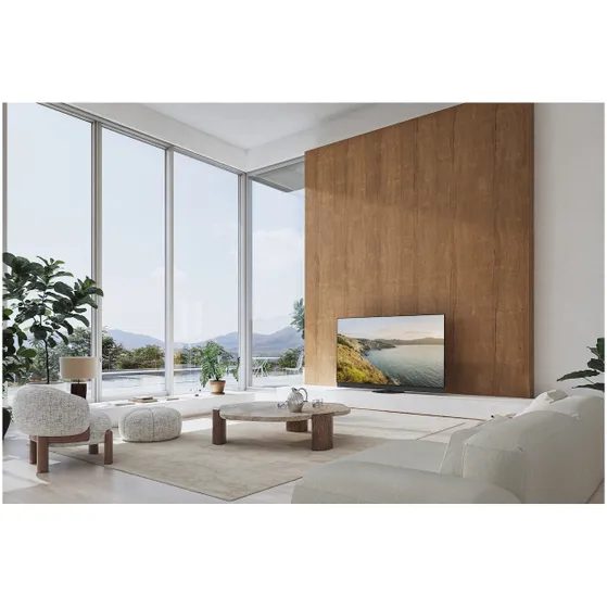 Panasonic TV-65Z95BEGA