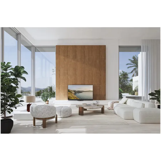 Panasonic TV-65Z95BEGA