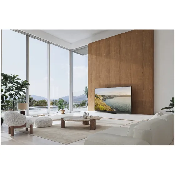 Panasonic TV-77Z95BEGA