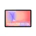 Samsung Galaxy Tab S10 Lite 10,9 inch 128GB Wifi + 5G Grijs Enterprise Edition Grijs