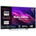 Salora QLED43FV1