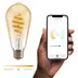 Hombli Smart Filament Bulb CCT E27 ST64 Lichtbruin