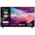 Salora 32HGN7500