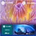 Philips 55PUS8000 Ambilight (2025)