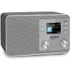 TechniSat Digitradio 307 BT Zilver