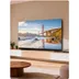 TCL 65P6L (2026)