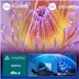 Philips 75PUS7000 (2025)