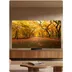TCL SQD MINI LED 75C89L (2026)