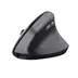 Trust BAYO II ERGONOMIC WIRELESS MOUSE Zwart