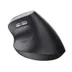 Trust BAYO II ERGONOMIC WIRELESS MOUSE Zwart