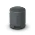 Sony SRS-XB100 Zwart