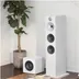 Bowers & Wilkins ASW610 Wit