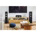 Polk SIGNATURE S50 ELITE Zwart