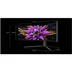 TCL 57R94