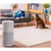 Beko ATP6100i Wit