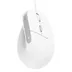 Trust Bayo II Ergonomic Mouse Wit