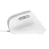Trust Bayo II Ergonomic Mouse Wit