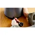Bosch MMB4194S