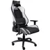 Trust GXT714W Ruya Gaming Chair Wit