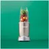 Nutribullet PRO 900W Champagne