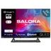 Salora 24QHG6500