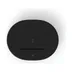 Sonos Move 2 Zwart