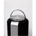 Stylies Auriga - Insect Trap