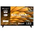Salora 24HGS3000