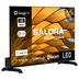 Salora 24HGS3000